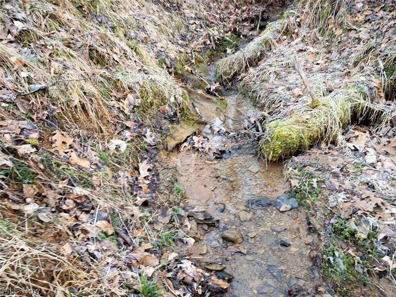 0 Twp Rd 318 Road , Dexter City, OH 45727 Photo 11