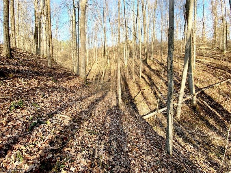 0 Twp Rd 318 Road , Dexter City, OH 45727 Photo 13