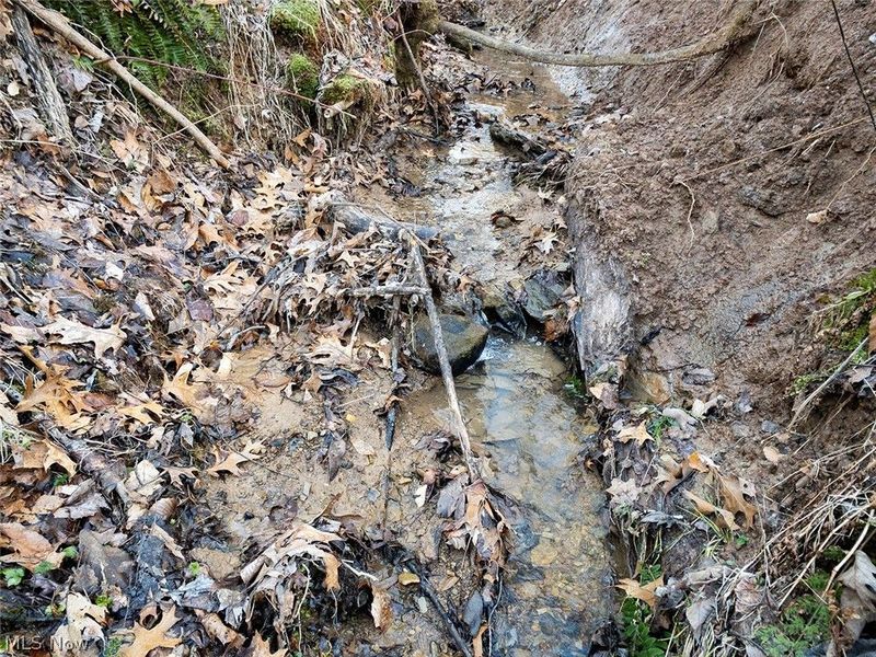 0 Twp Rd 318 Road, Dexter City, OH 45727 Photo 13