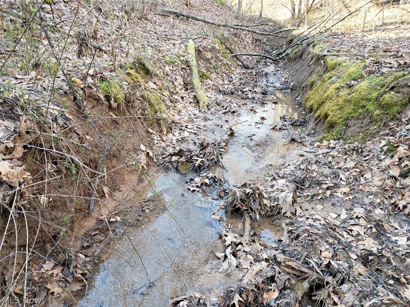 0 Twp Rd 318 Road , Dexter City, OH 45727 Photo 14