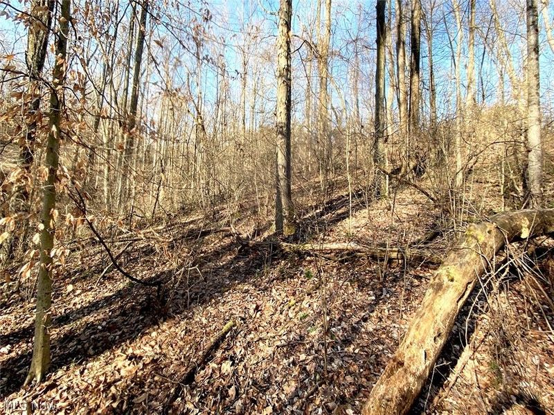 0 Twp Rd 318 Road , Dexter City, OH 45727 Photo 15