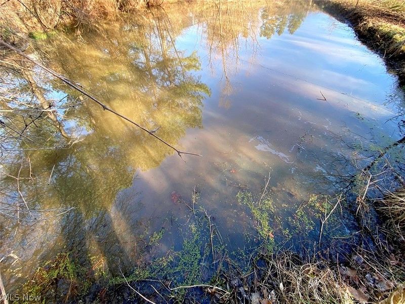 0 Twp Rd 318 Road , Dexter City, OH 45727 Photo 17