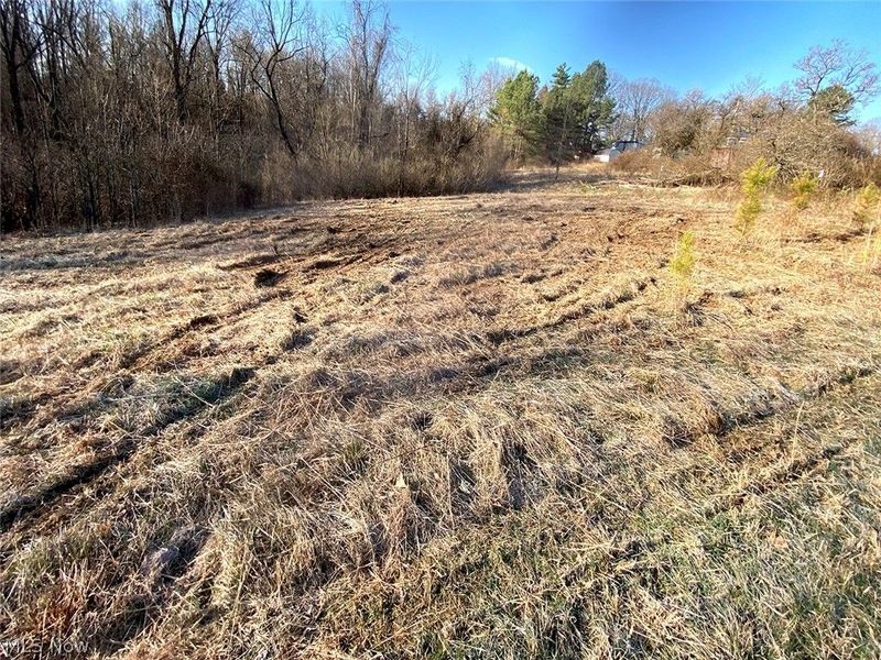 0 Twp Rd 318 Road , Dexter City, OH 45727 Photo 2