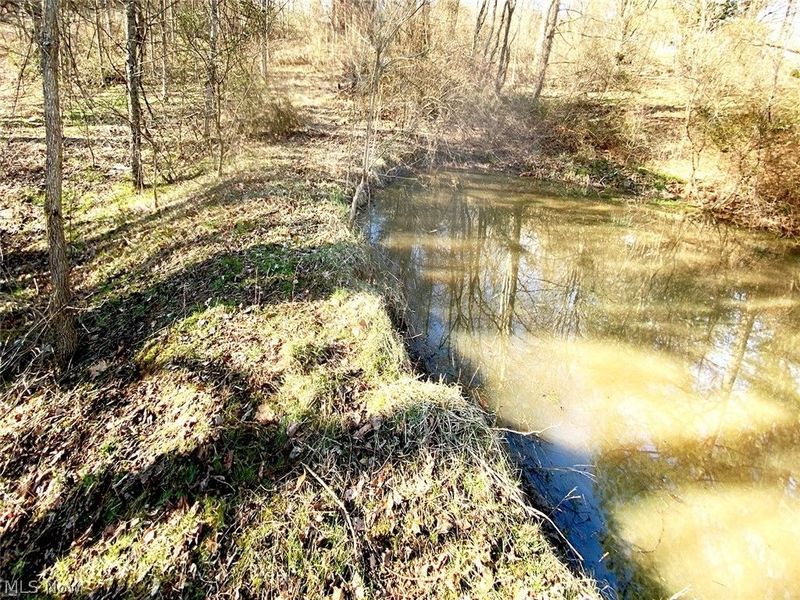 0 Twp Rd 318 Road, Dexter City, OH 45727 Photo 2