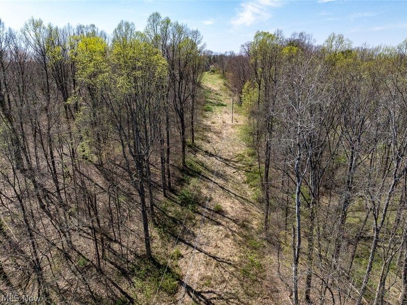 0 Twp Rd 318 Road, Dexter City, OH 45727 Photo 21