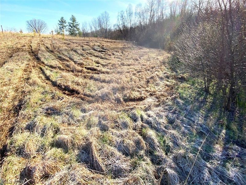 0 Twp Rd 318 Road , Dexter City, OH 45727 Photo 3