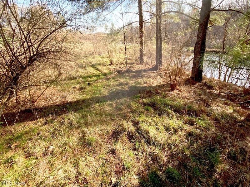 0 Twp Rd 318 Road , Dexter City, OH 45727 Photo 4