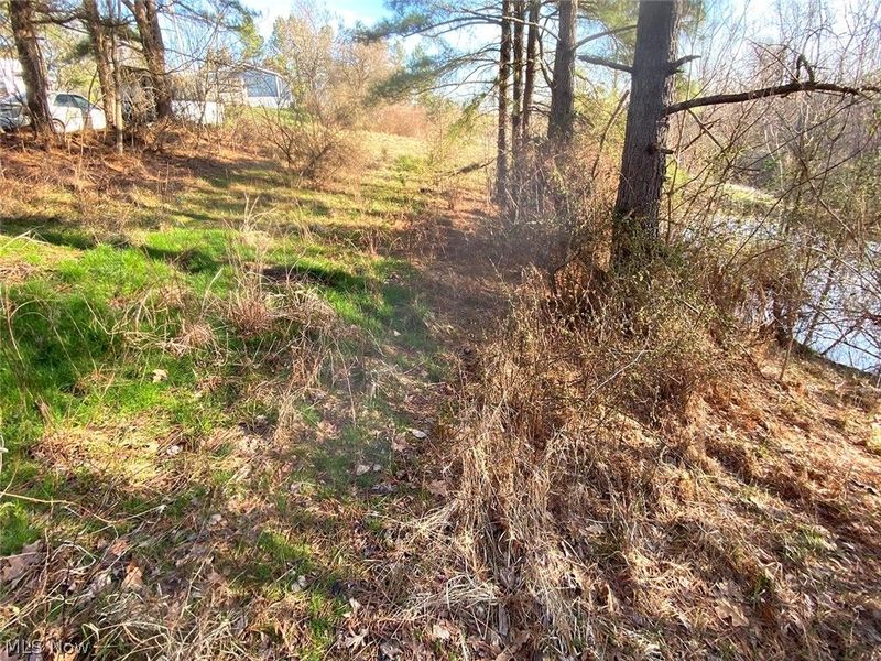 0 Twp Rd 318 Road, Dexter City, OH 45727 Photo 6