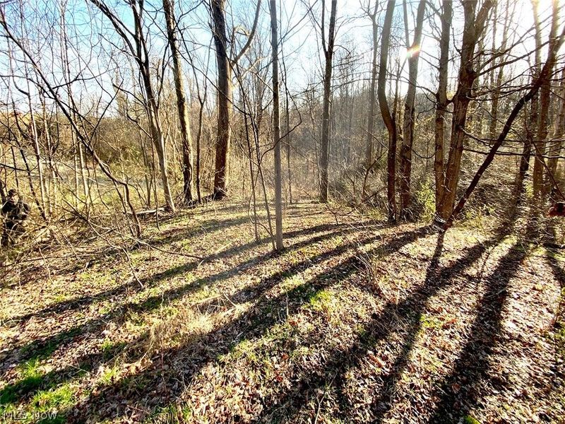 0 Twp Rd 318 Road , Dexter City, OH 45727 Photo 7