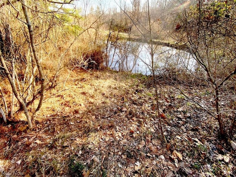 0 Twp Rd 318 Road, Dexter City, OH 45727 Photo 7