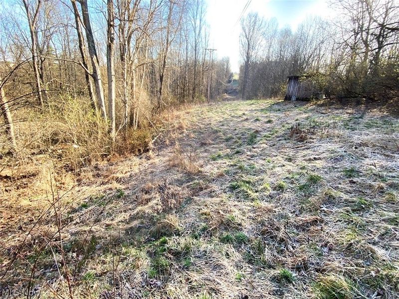 0 Twp Rd 318 Road , Dexter City, OH 45727 Photo 8