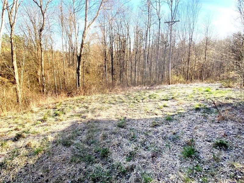 0 Twp Rd 318 Road , Dexter City, OH 45727 Photo 9