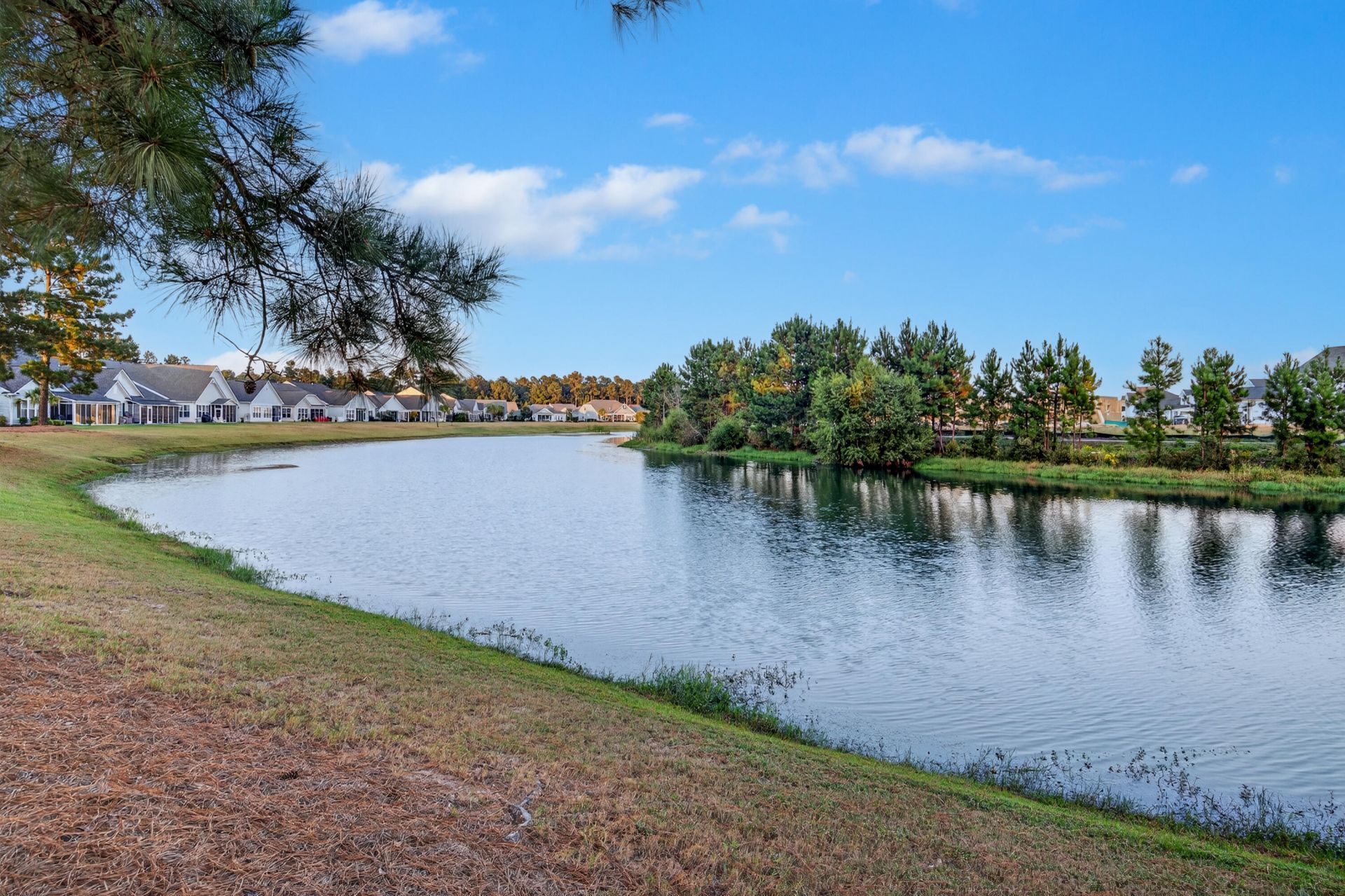 108 Bluff Isle Court Photo 42