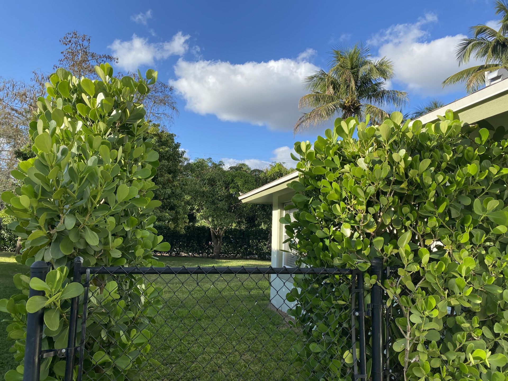 1094 Raintree Lane, Wellington, FL 33414 Photo