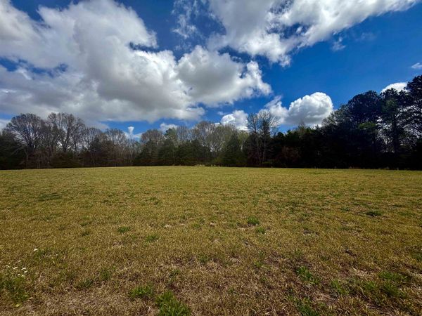 8.19 AC FEATHERS CHAPEL DR, Somerville, TN 38068