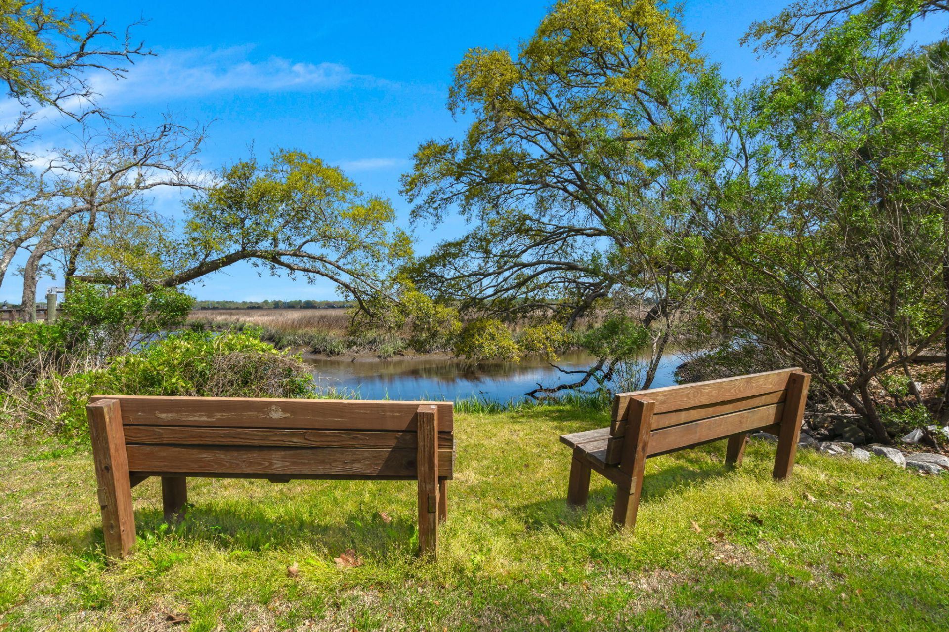 2206 Waterfowl Lane Photo 59