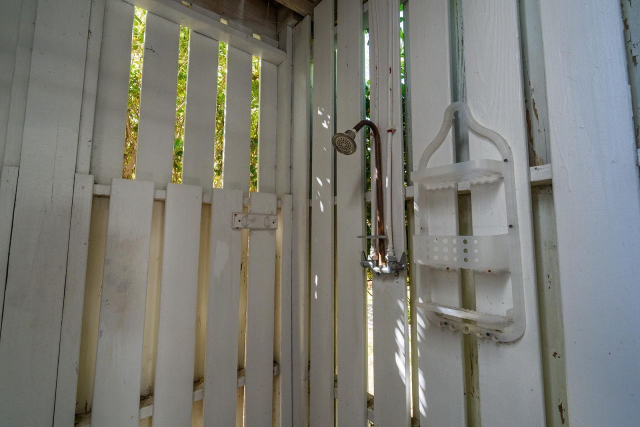 805 Jungle Road Photo 12