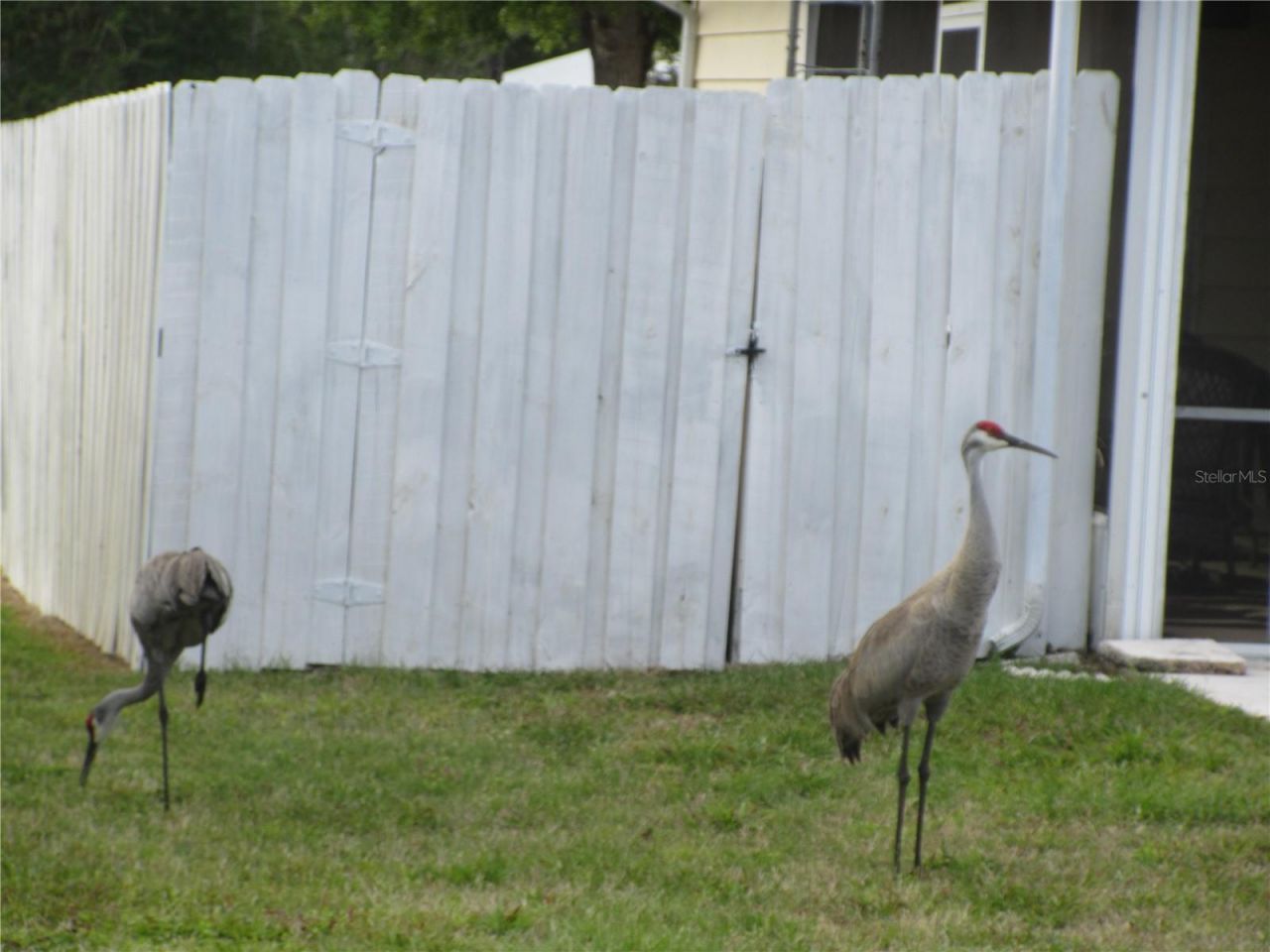 2380 SE 174th Court, Silver Springs, FL 34488 Photo