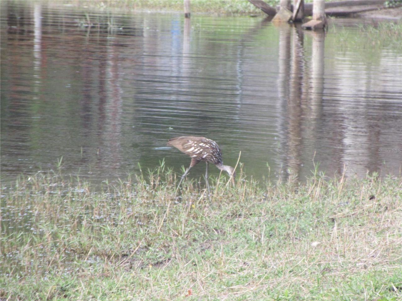 2380 SE 174th Court, Silver Springs, FL 34488 Photo