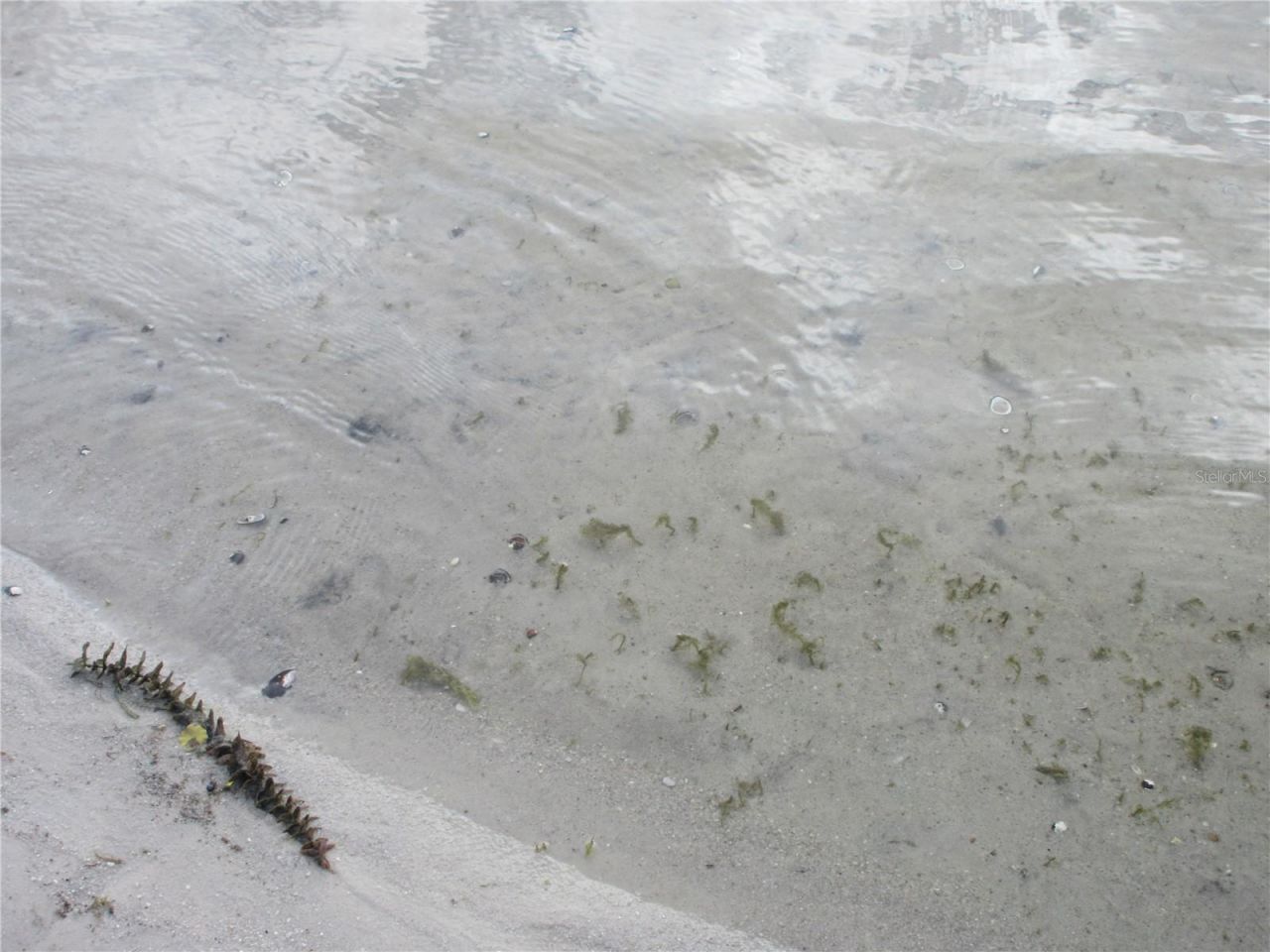 2380 SE 174th Court, Silver Springs, FL 34488 Photo