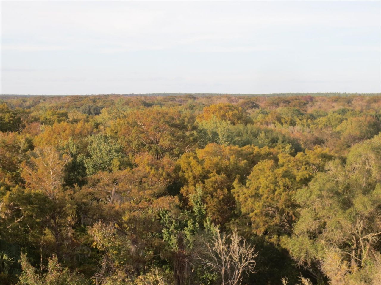 2380 SE 174th Court, Silver Springs, FL 34488 Photo