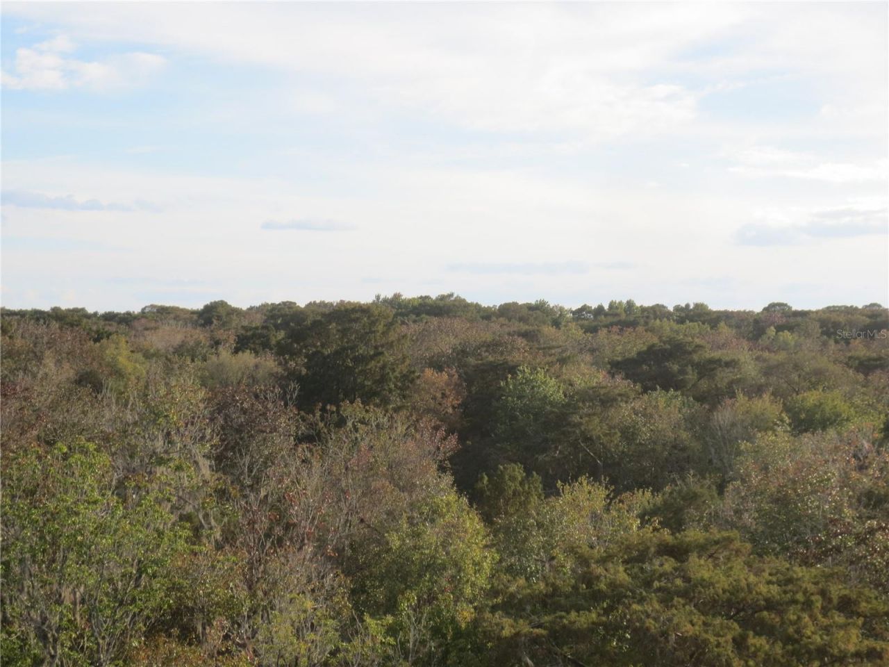 2380 SE 174th Court, Silver Springs, FL 34488 Photo