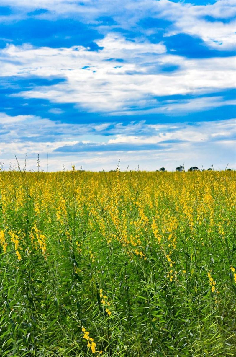 7296 NW 170th Street , Trenton, FL 32693 Photo