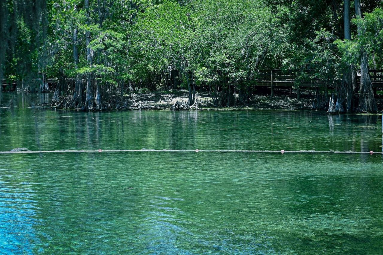 7296 NW 170th Street , Trenton, FL 32693 Photo