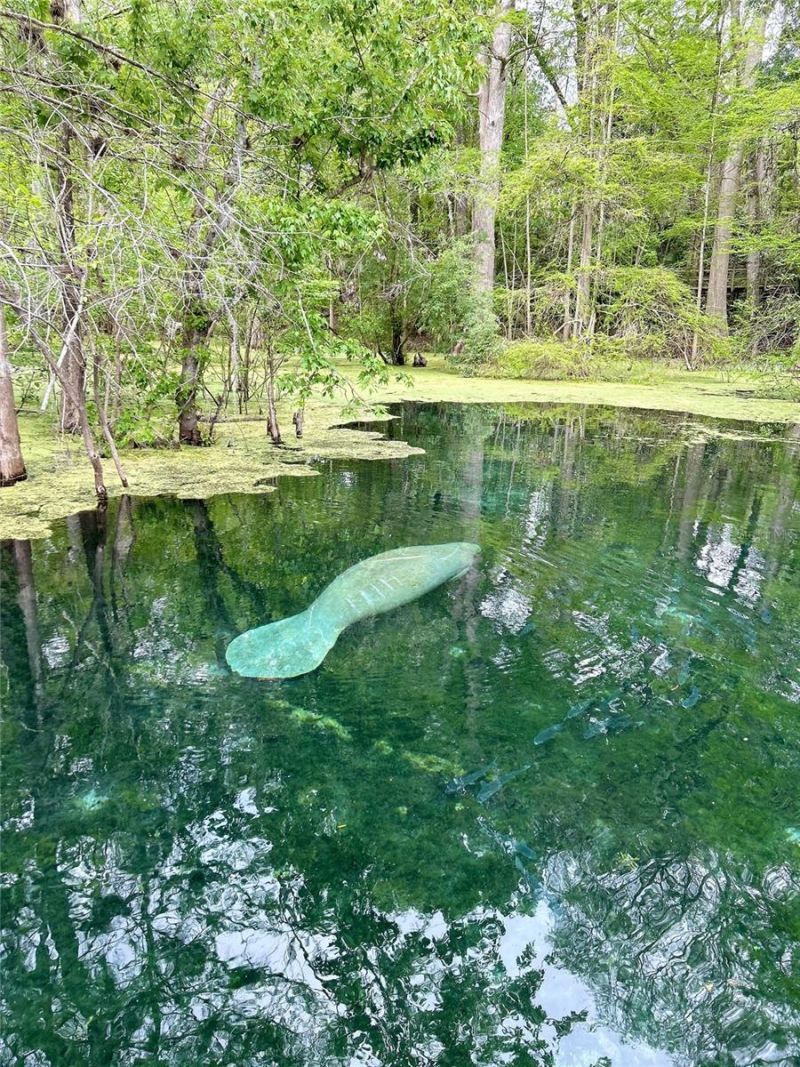 7296 NW 170th Street , Trenton, FL 32693 Photo