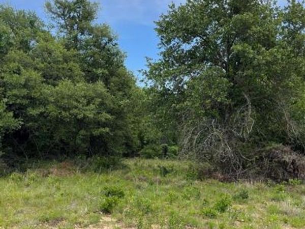 Lot 96 Kilkenny Rd , Poolville, TX 76487