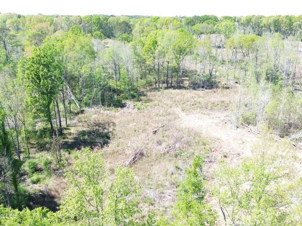 Pettey Road, Forest, MS 39074