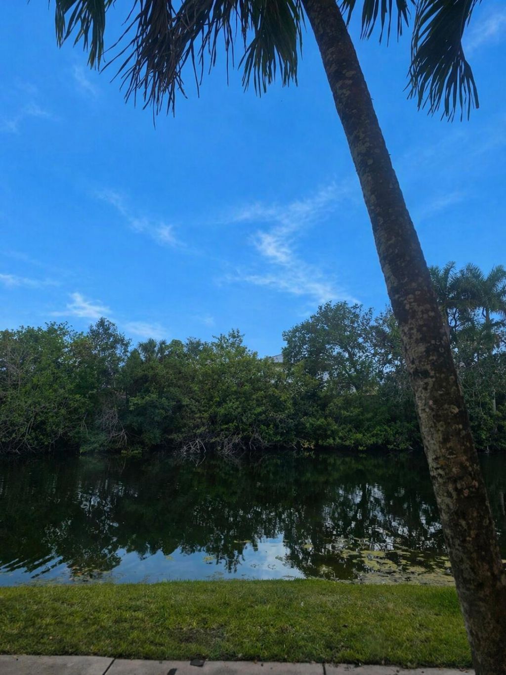 3680 N 56th Avenue, Unit 812, Hollywood, FL 33021 Photo