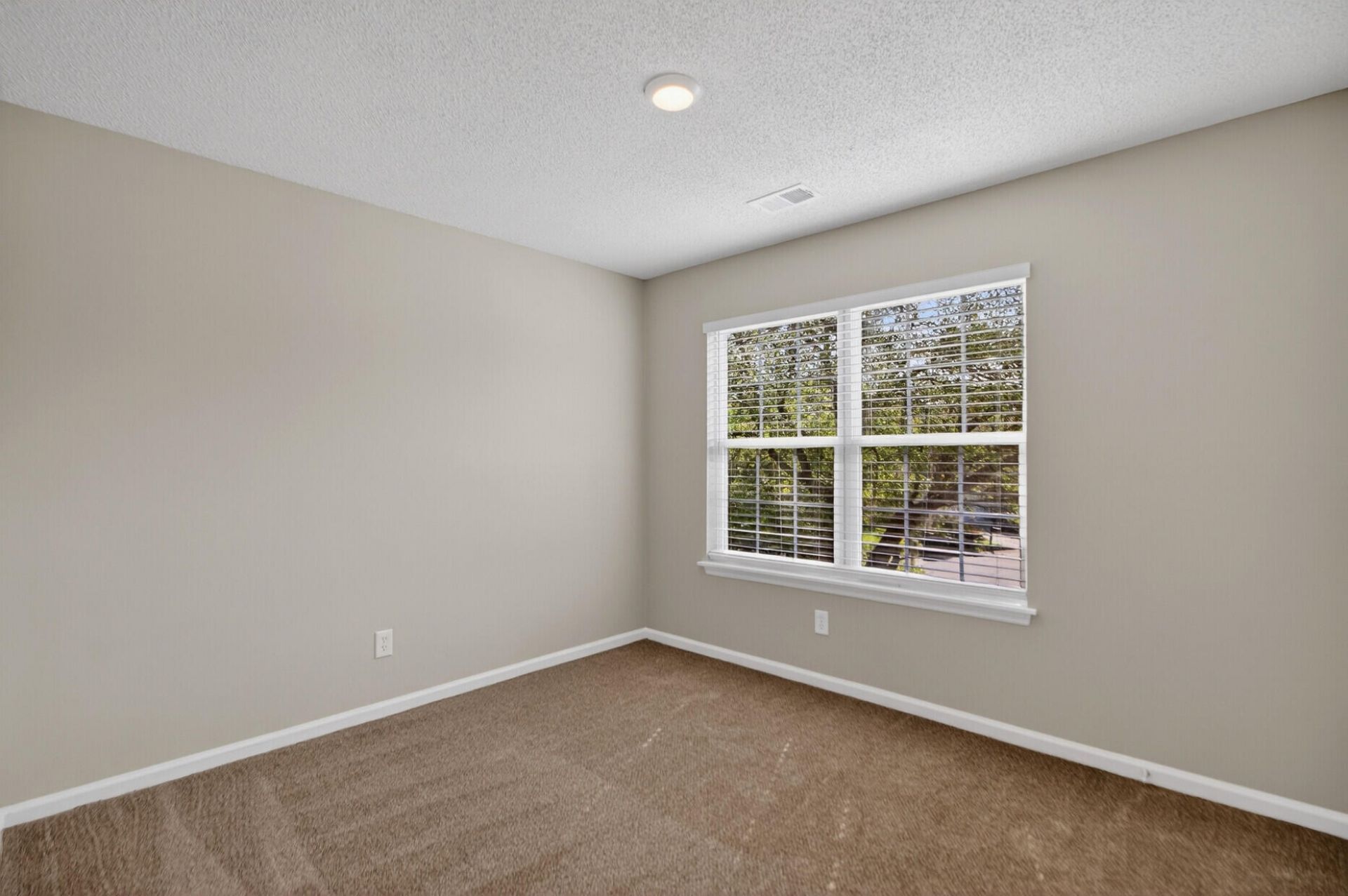 5342 Greggs Landing Photo 18