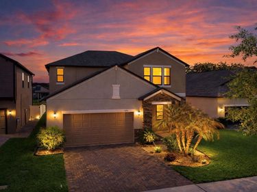 13256 WILDFLOWER MEADOW DRIVE , RIVERVIEW, FL 33579