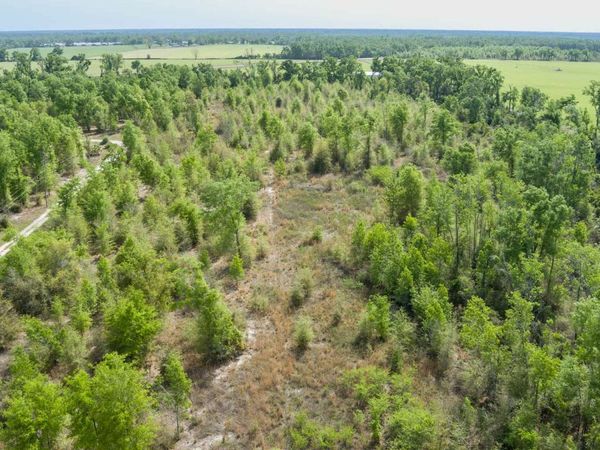 000 SW GRACELAND RD., Mayo, FL 32066