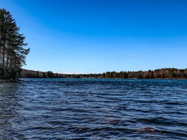 005 Newbury Neck Road , Surry, ME 04684