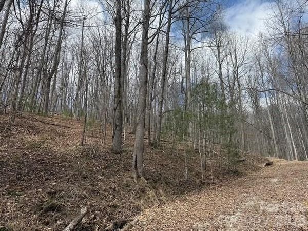 158 Chattooga Run , Hendersonville, NC 28739