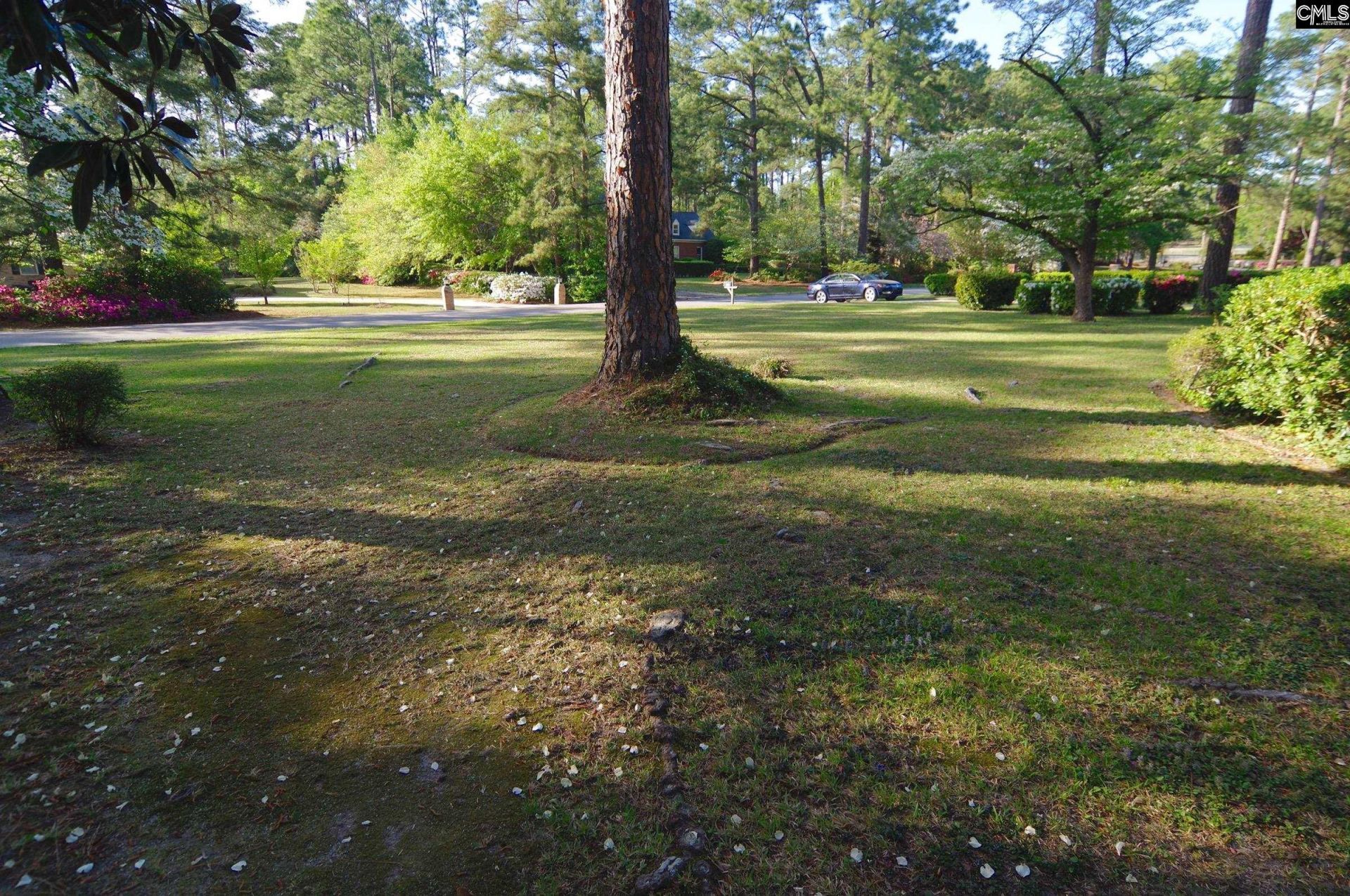 725 Southlake Road Photo 45