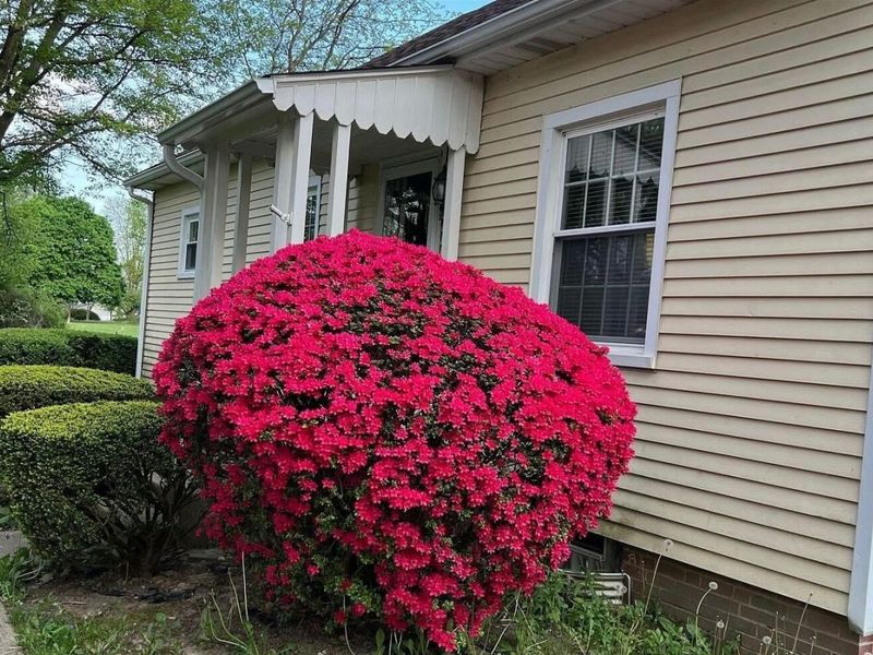 5011 Smothers Road , Westerville, OH 43081 Photo 4