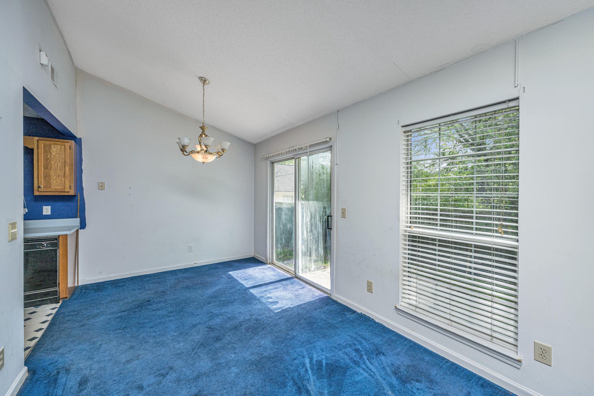 209 Woodland Lakes Road Photo 11