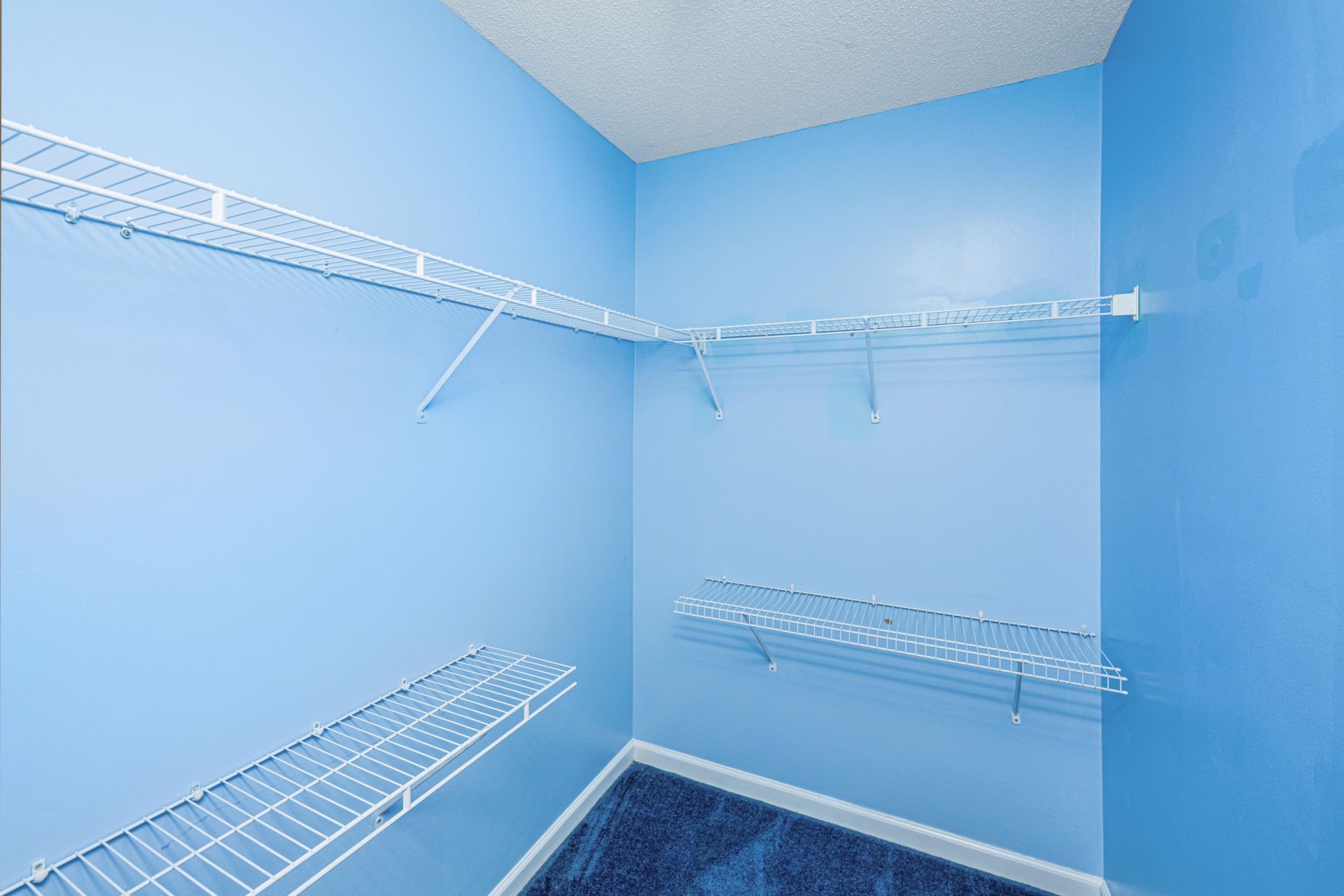 209 Woodland Lakes Road Photo 17