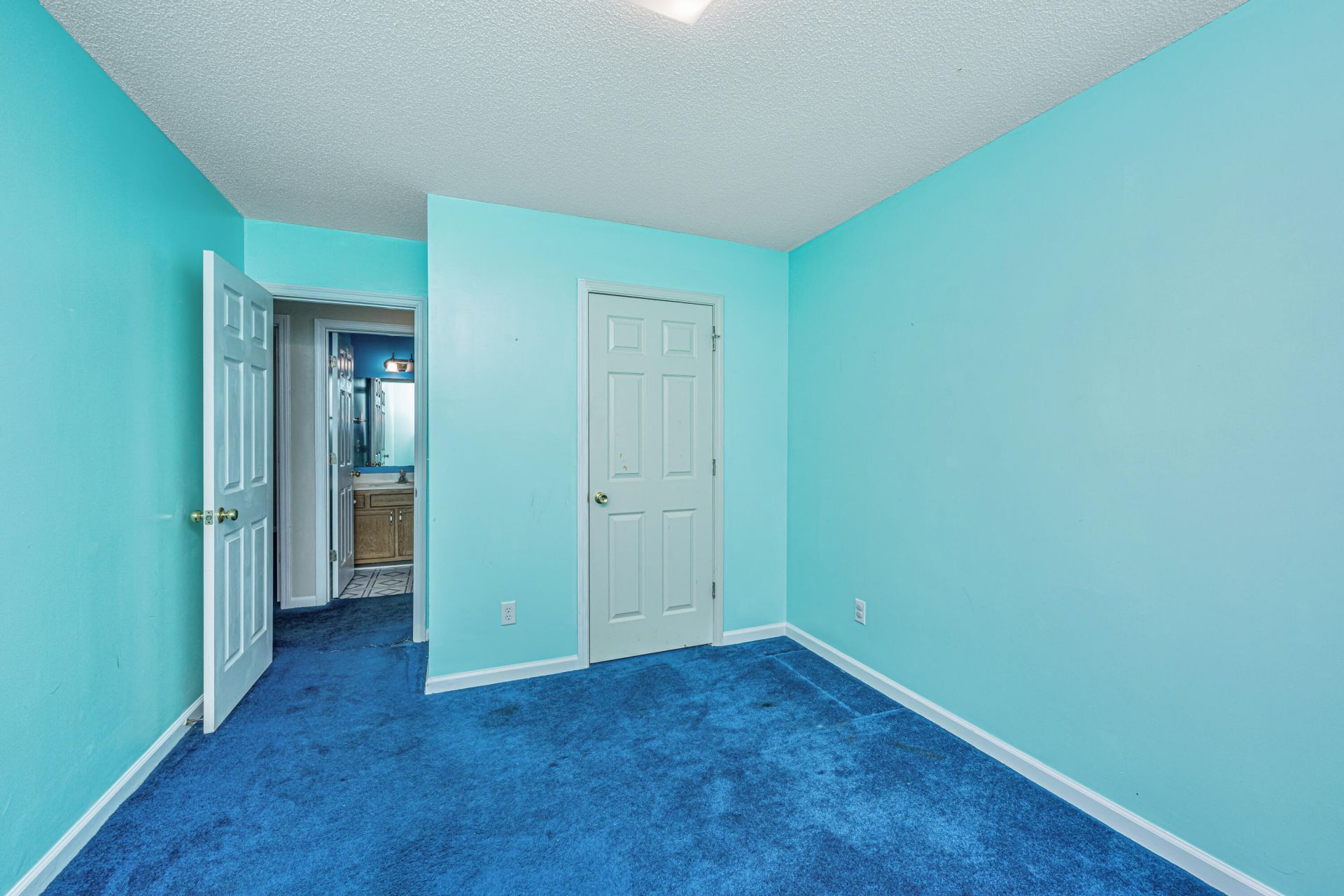 209 Woodland Lakes Road Photo 19