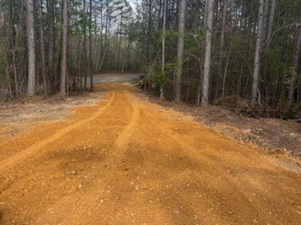 00 Moss Loop , Enville, TN 38332