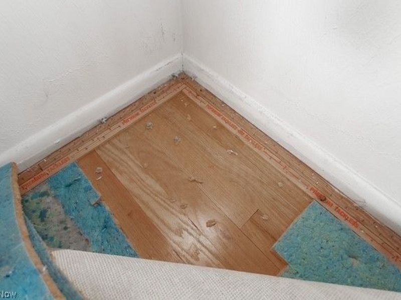 466 Waterbury Road, Eastlake, OH 44095 Photo 37