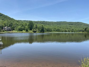 35 Mallow Lake Drive, Davis, WV 26260