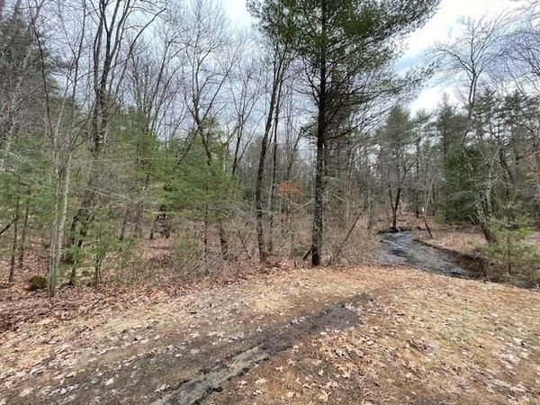 Pingree Hill Road, Auburn, NH 03032