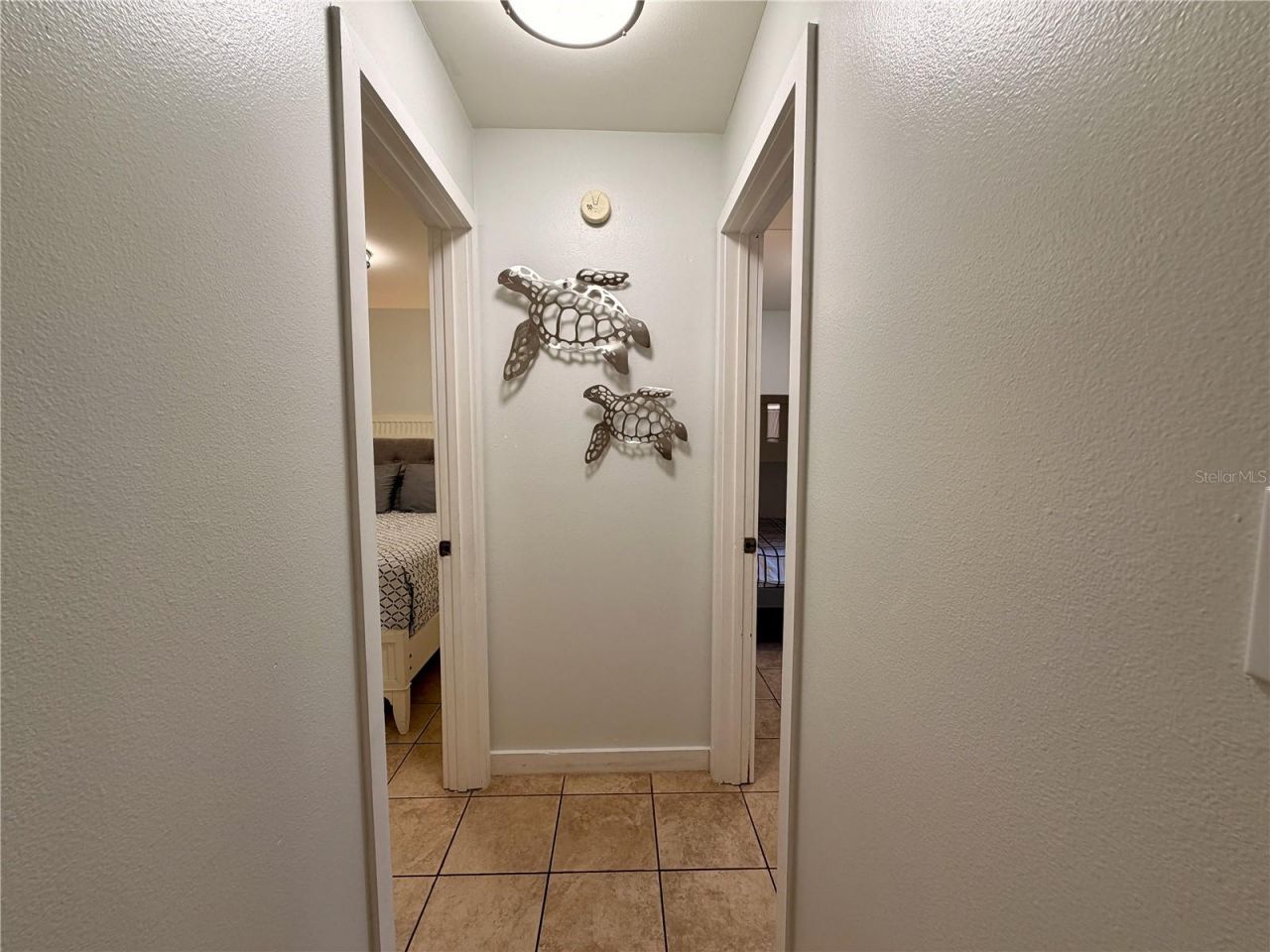 14010 NE 250th Circle , Salt Springs, FL 32134 Photo