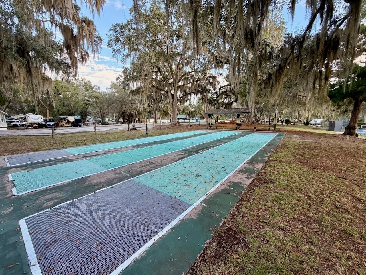 14010 NE 250th Circle , Salt Springs, FL 32134 Photo