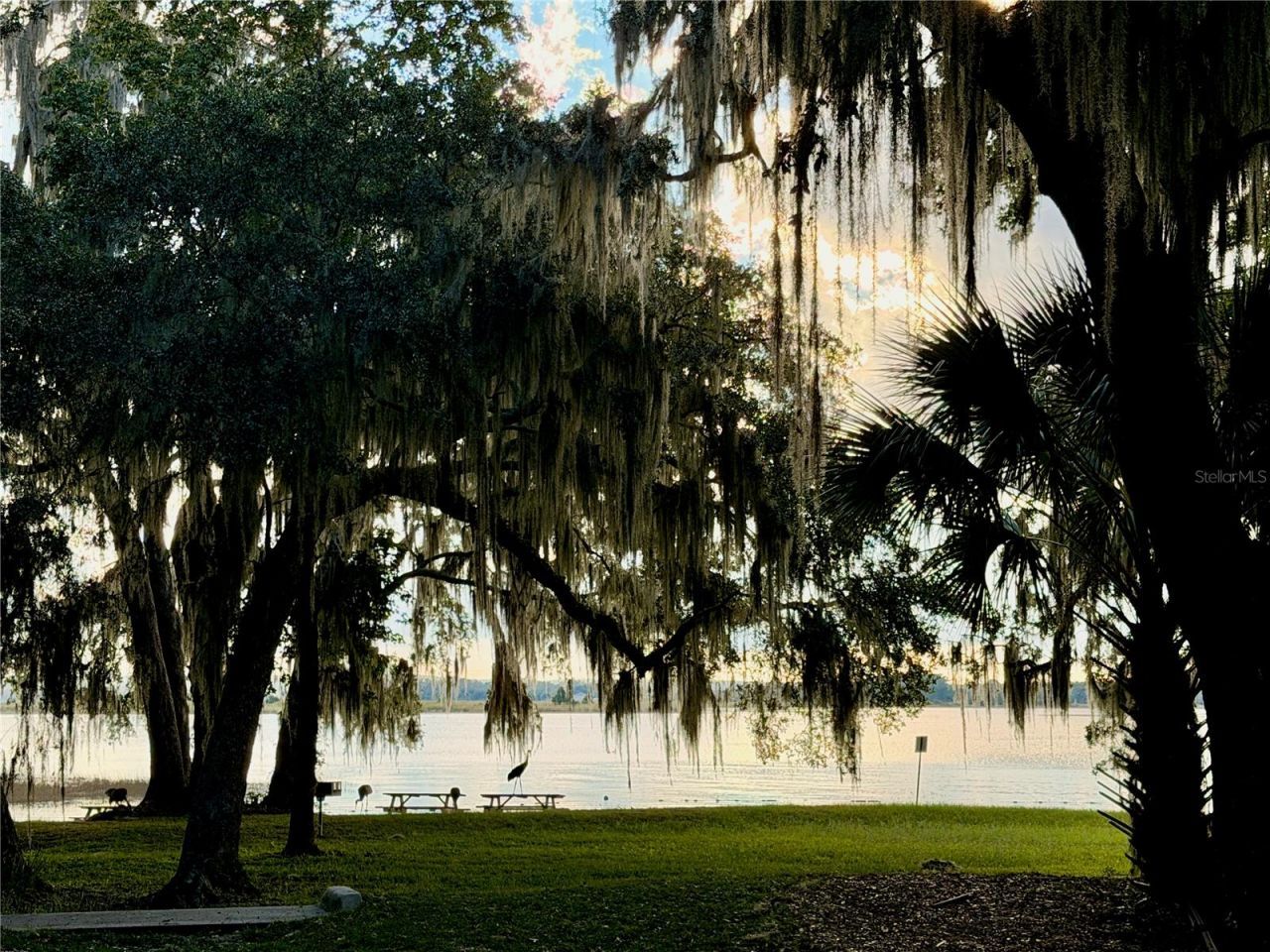 14010 NE 250th Circle , Salt Springs, FL 32134 Photo