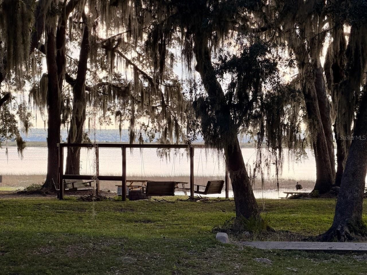 14010 NE 250th Circle , Salt Springs, FL 32134 Photo